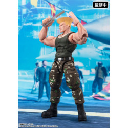 Street Fighter Figura S.H....